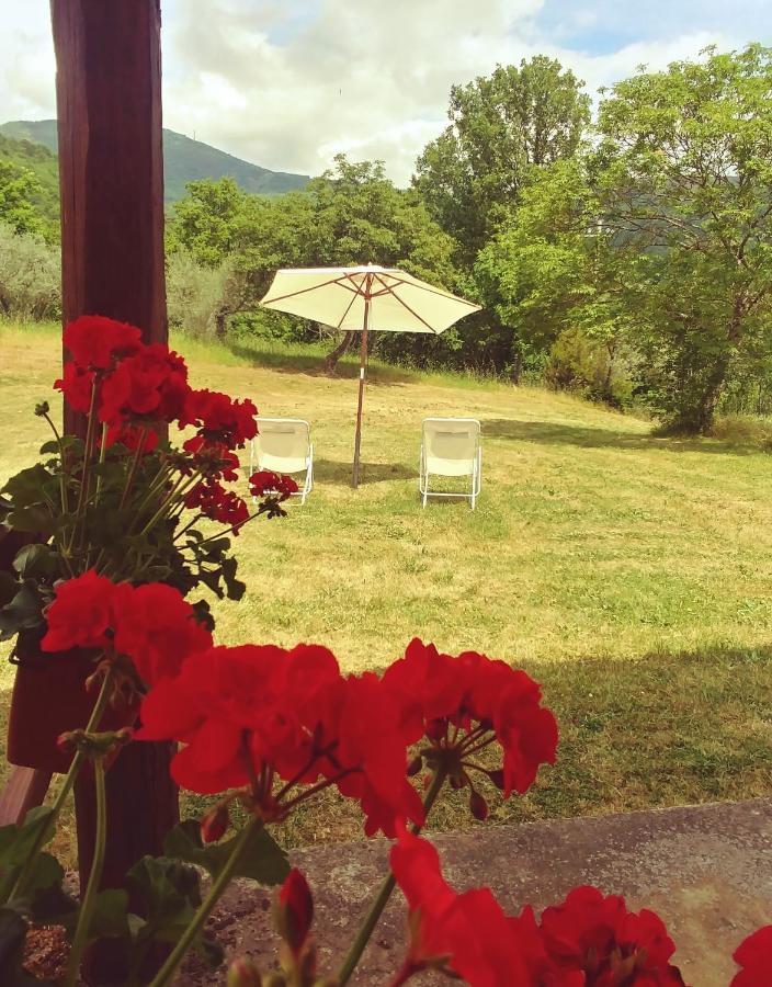 Agriturismo Botro Pulicciano Exterior foto
